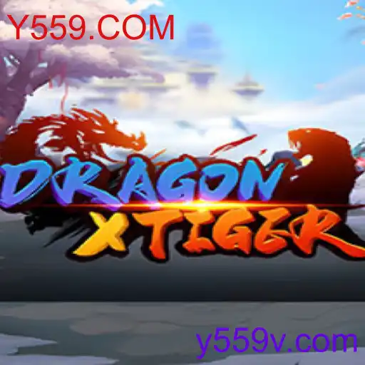 DragonXTiger